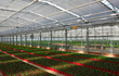 Agriculture-110x70